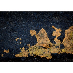 dailyPhoto26